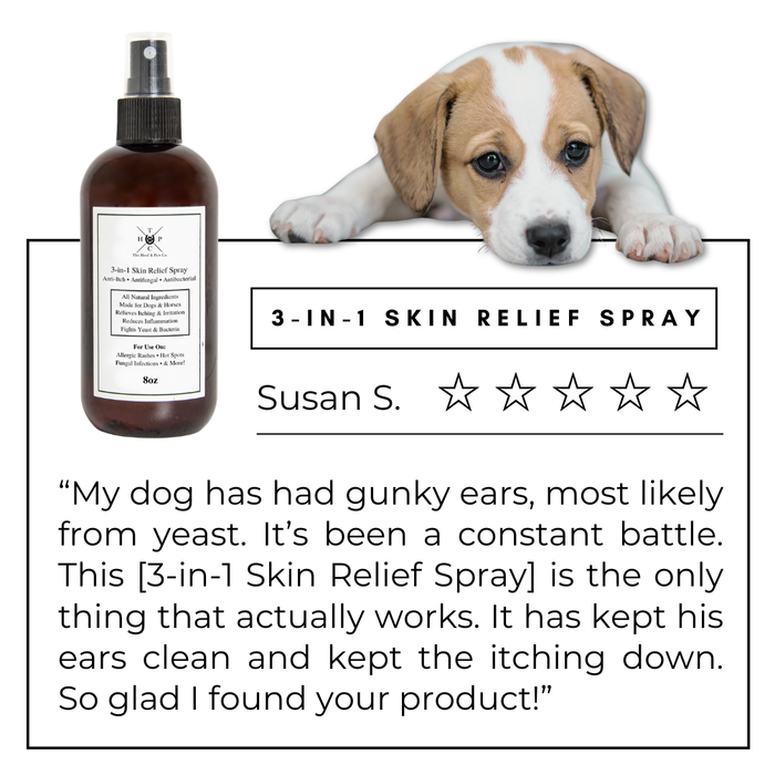 3-in-1 Skin Relief Spray for Dogs & Horses - - by The Hoof & Paw Co.