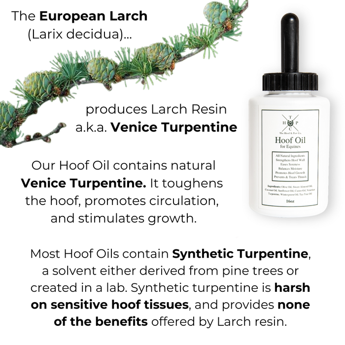 Hoof Oil for Horses - - by The Hoof & Paw Co.