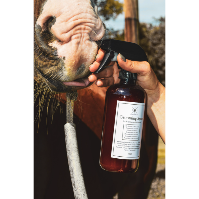 Grooming Spray - for Dogs & Horses - - by The Hoof & Paw Co.