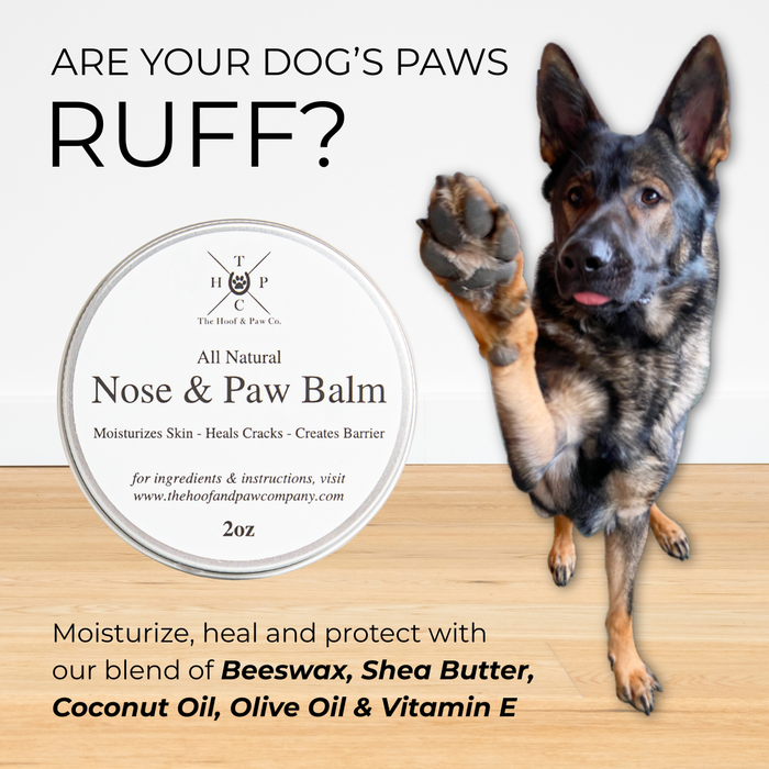 Nose & Paw Balm for Dogs - 2oz - - by The Hoof & Paw Co.