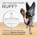 Nose & Paw Balm for Dogs - 2oz - - by The Hoof & Paw Co.