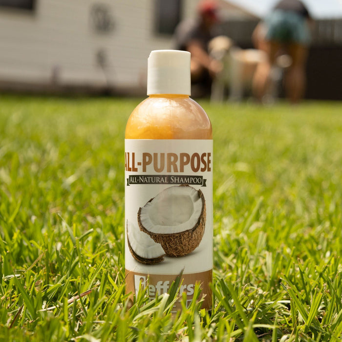 Jeffers Pet Tearless All-Purpose All-Natural Coconut Oil Shampoo for Dogs & Cats - - Animal & Pet Supplies > Pet Grooming > Pet Shampoo & Conditioner by Jeffers