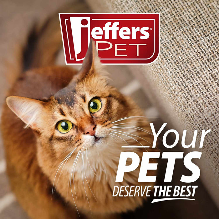 Jeffers Double-Sided Flex Head Pet Grooming Slicker Brush - - Animal & Pet Supplies > Pet Grooming > Pet Combs & Brushes by Jeffers