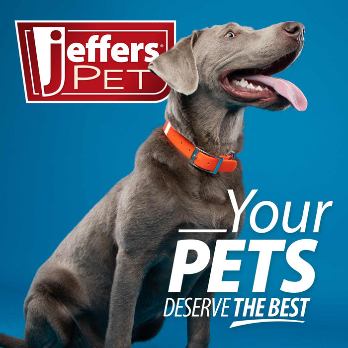 Jeffers Pin Brush for Pet Grooming - - Horse Supplies > Horse Grooming > Horse Grooming Combs, Brushes & Mitts by Jeffers