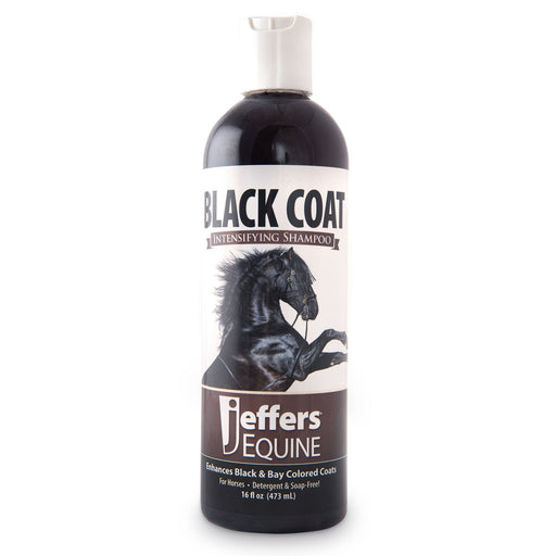 Jeffers Equine Black Coat Intensifying Horse Shampoo for Black & Bay Coats - 16 oz - Horse Supplies > Horse Grooming by Jeffers