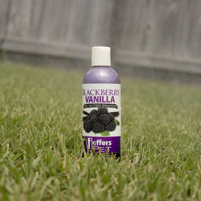Jeffers Pet Blackberry Vanilla pH-Neutral Pet Shampoo - - Animal & Pet Supplies > Pet Grooming > Pet Shampoo & Conditioner by Jeffers