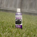 Jeffers Pet Blackberry Vanilla pH-Neutral Pet Shampoo - - Animal & Pet Supplies > Pet Grooming > Pet Shampoo & Conditioner by Jeffers