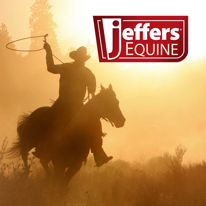 Jeffers Equine Simply Natural Horse Shampoo for Sensitive Skin - - Horse Supplies > Horse Grooming by Jeffers