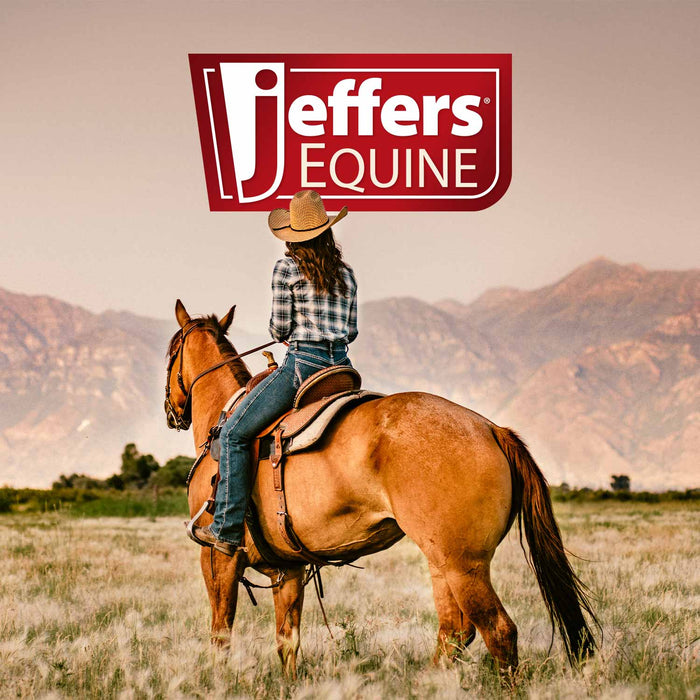 Jeffers Equine Black Coat Intensifying Horse Shampoo for Black & Bay Coats - - Horse Supplies > Horse Grooming by Jeffers