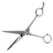 Jeffers Professional Stainless Steel Pet Grooming Shears - - Animal & Pet Supplies > Pet Grooming > Pet Combs & Brushes by Jeffers