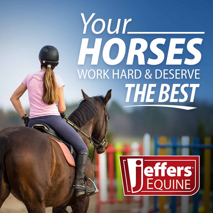 Jeffers Stainless Steel Sharp Grooming Scissors for Horses – Mane, Tail & Braiding Trimming Tool - - Horse Supplies > Horse Grooming > Horse Clippers & Trimmers by Jeffers