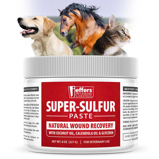 Jeffers Super-Sulfur Skin & Wound Healing Paste for Pets, Horses, & Livestock - - Animal Health & Wellness > Skin & Coat Care by Jeffers