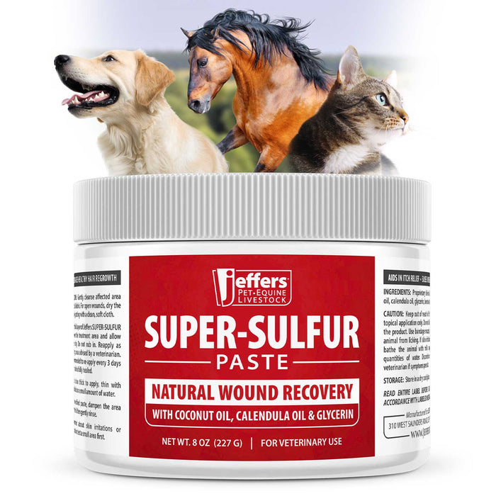 Jeffers Super-Sulfur Skin & Wound Healing Paste for Pets, Horses, & Livestock - - Animal Health & Wellness > Skin & Coat Care by Jeffers