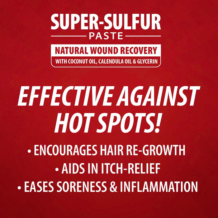 Jeffers Super-Sulfur Skin & Wound Healing Paste for Pets, Horses, & Livestock - - Animal Health & Wellness > Skin & Coat Care by Jeffers