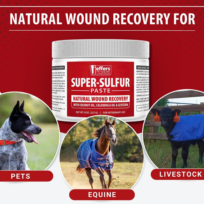 Jeffers Super-Sulfur Skin & Wound Healing Paste for Pets, Horses, & Livestock - - Animal Health & Wellness > Skin & Coat Care by Jeffers