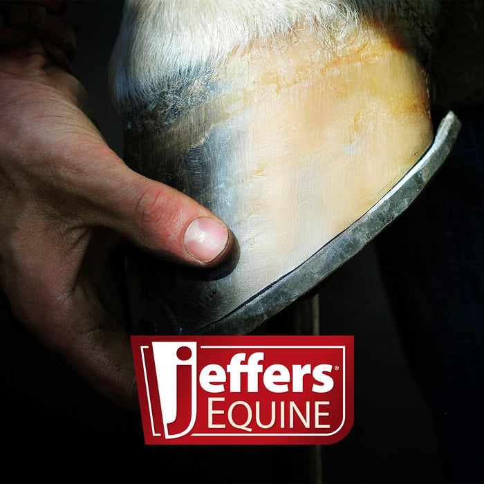 Jeffers Thrush Away Hoof Treatment for Thrush in Horses, 2 oz - - Animal Health & Wellness > Foot & Hoof Care by Jeffers