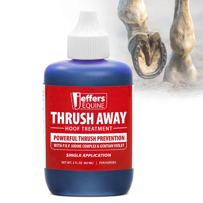 Jeffers Thrush Away Hoof Treatment for Thrush in Horses, 2 oz - - Animal Health & Wellness > Foot & Hoof Care by Jeffers
