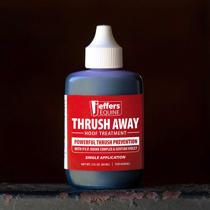 Jeffers Thrush Away Hoof Treatment for Thrush in Horses, 2 oz - - Animal Health & Wellness > Foot & Hoof Care by Jeffers
