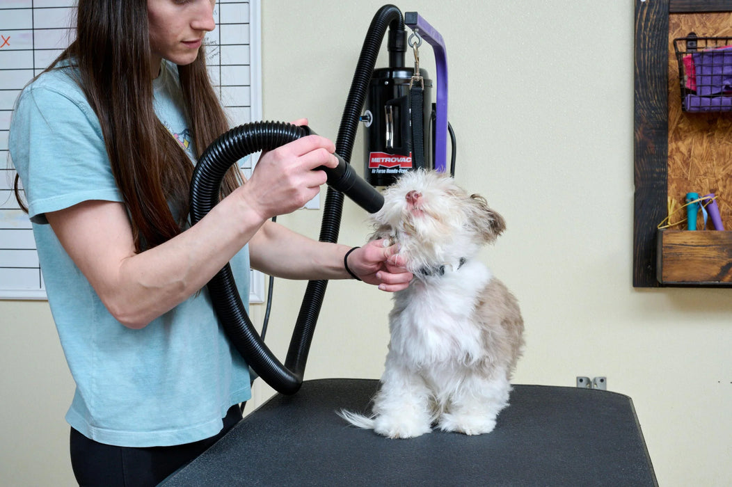 Air Force® Handsfree™ Pet Dryer - - Grooming dryer by Metrovac