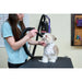 Air Force® Handsfree™ Pet Dryer - - Grooming dryer by Metrovac
