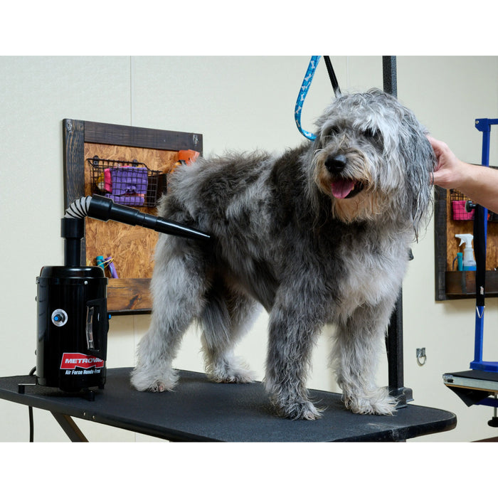 Air Force® Handsfree™ Pet Dryer - - Grooming dryer by Metrovac