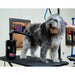 Air Force® Handsfree™ Pet Dryer - - Grooming dryer by Metrovac