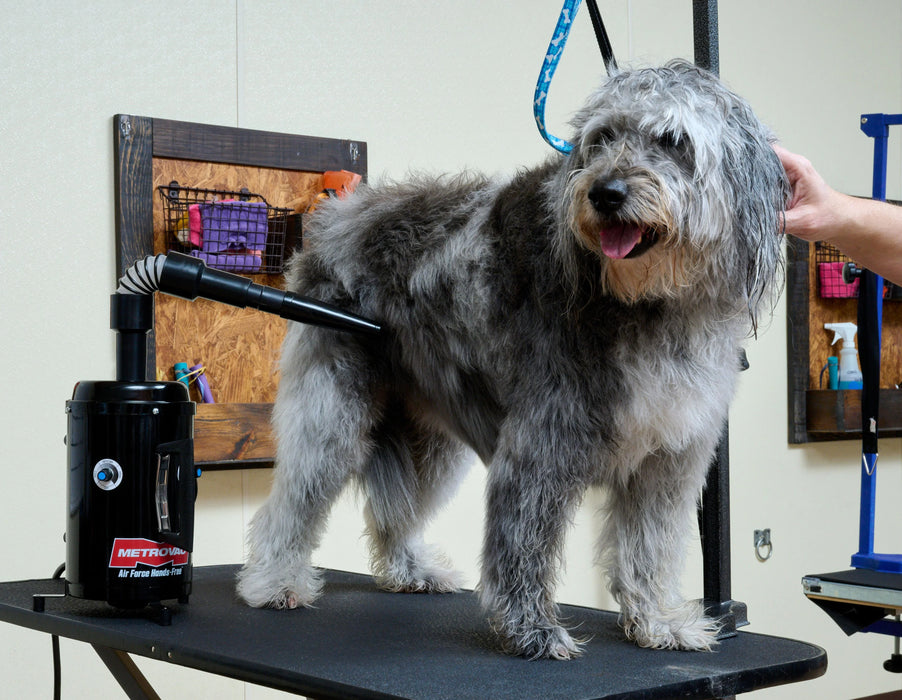 Air Force® Handsfree™ Pet Dryer - - Grooming dryer by Metrovac
