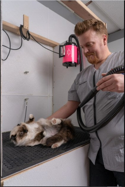 Metrovac Air force® Comander® 2-Speed Pet Dryer - - Dryers by Metrovac